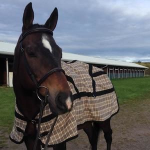 Meet your Posher, Hana